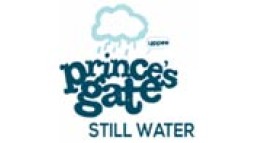 Princes Gate still water